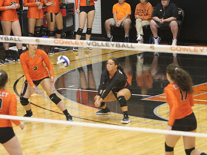 Erin Thompson playing volleyball